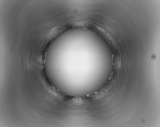 X0000090780764200708101832