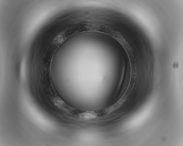 X0000090780765200708101832