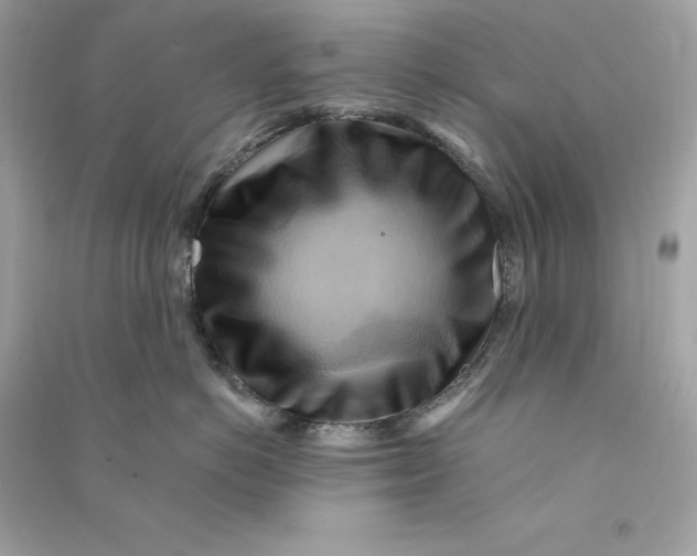 X0000090780766200708101832