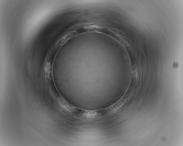 X0000090780767200708101832