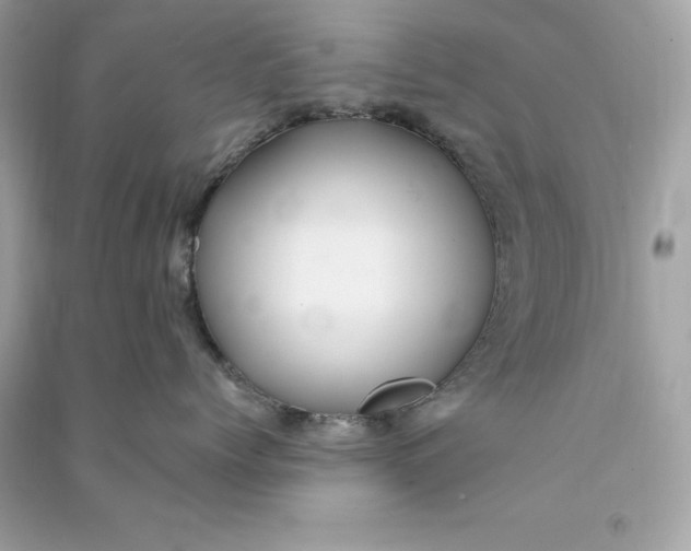 X0000090780768200708101832