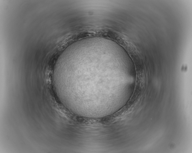 X0000090780770200708101832