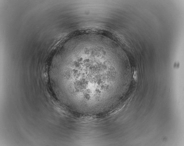 X0000090780771200708101832