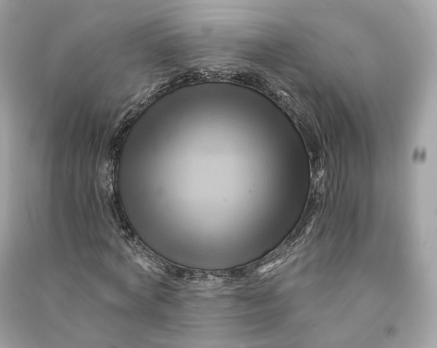X0000090780772200708101832