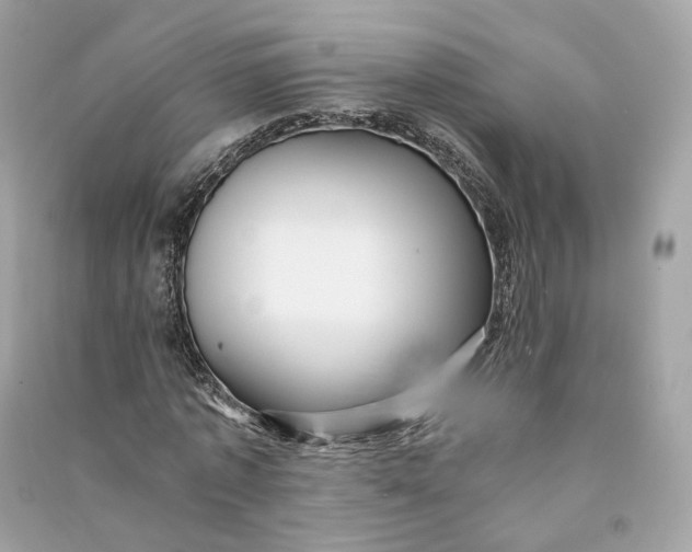 X0000090780773200708101832