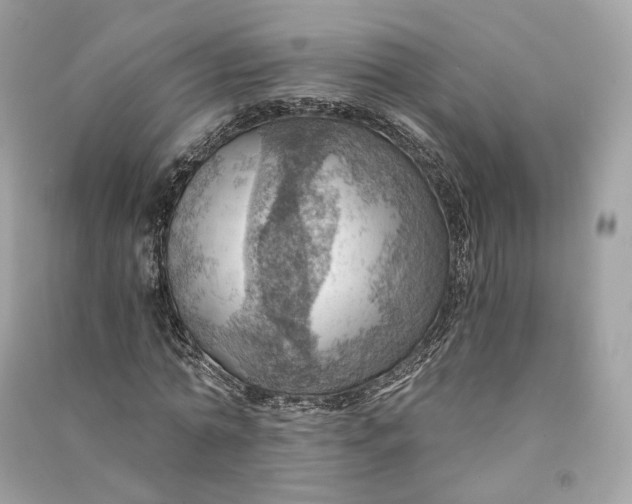 X0000090780774200708101832