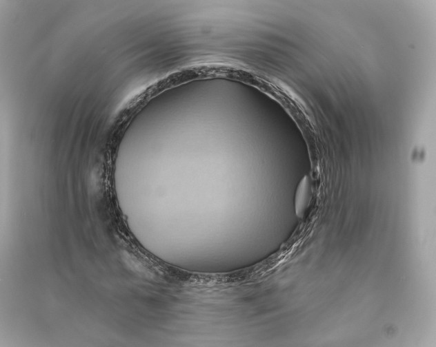 X0000090780775200708101832