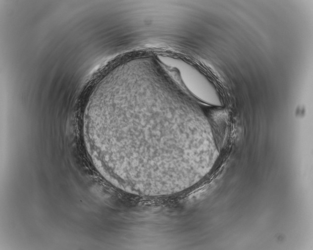 X0000090780776200708101832
