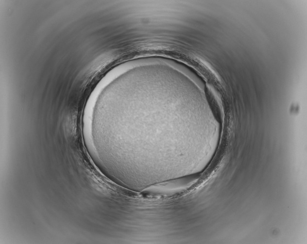 X0000090780777200708101832