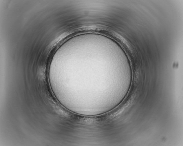 X0000090780778200708101832