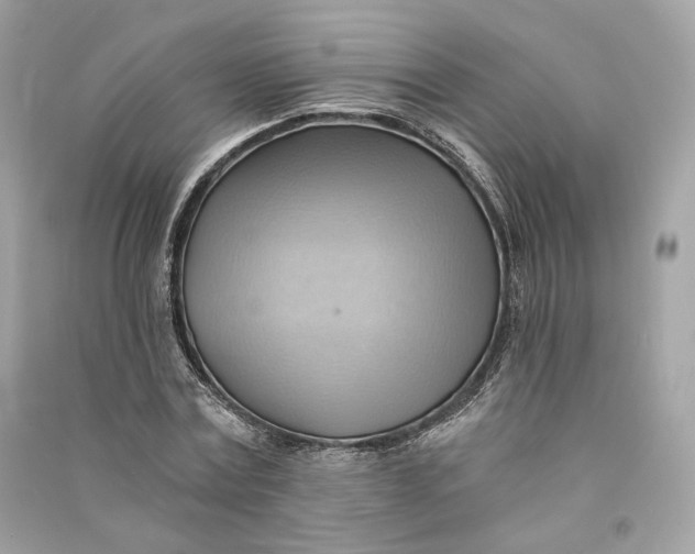 X0000090780779200708101832