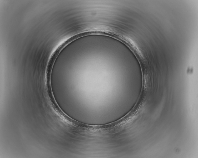 X0000090780780200708101832
