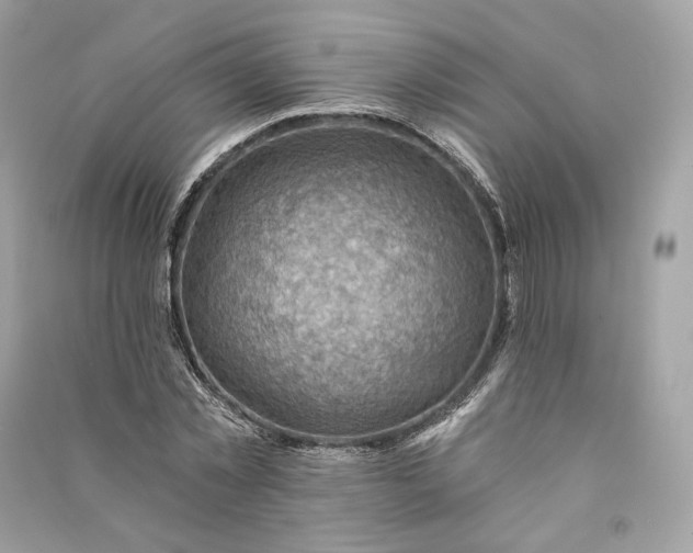 X0000090780781200708101832