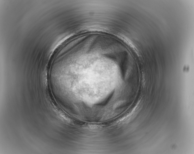 X0000090780782200708101832