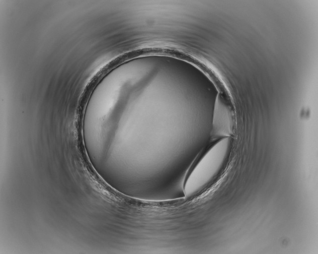 X0000090780783200708101832
