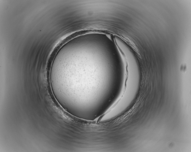 X0000090780784200708101832