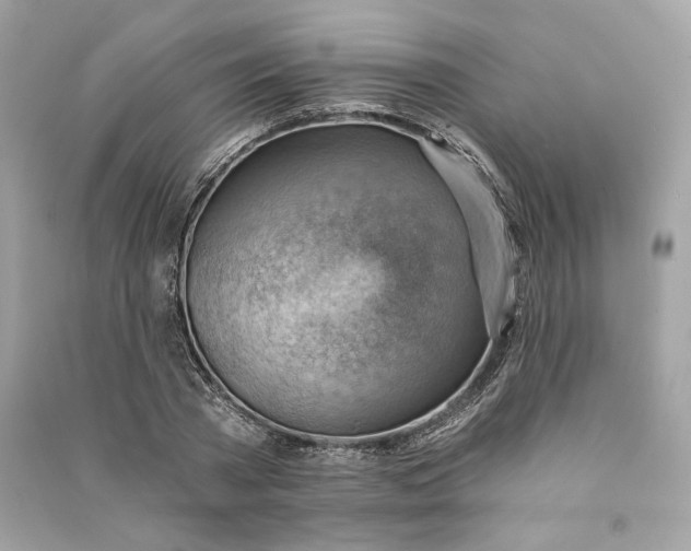 X0000090780785200708101832