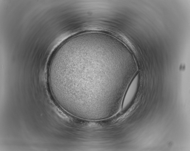 X0000090780787200708101832