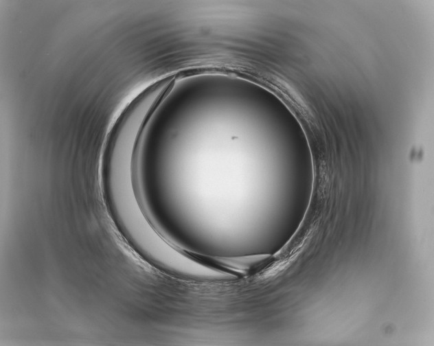 X0000090780788200708101832