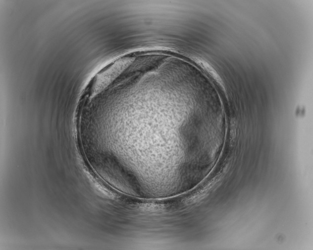 X0000090780789200708101832