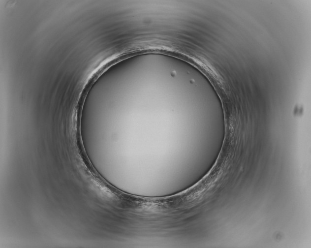 X0000090780790200708101831
