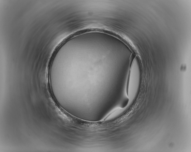 X0000090780791200708101831