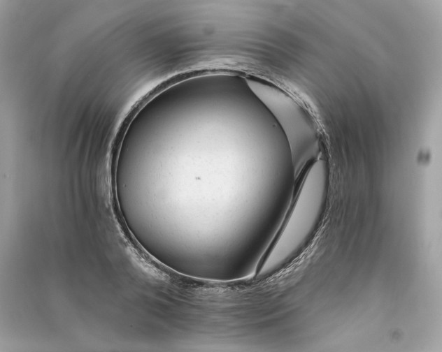 X0000090780792200708101831