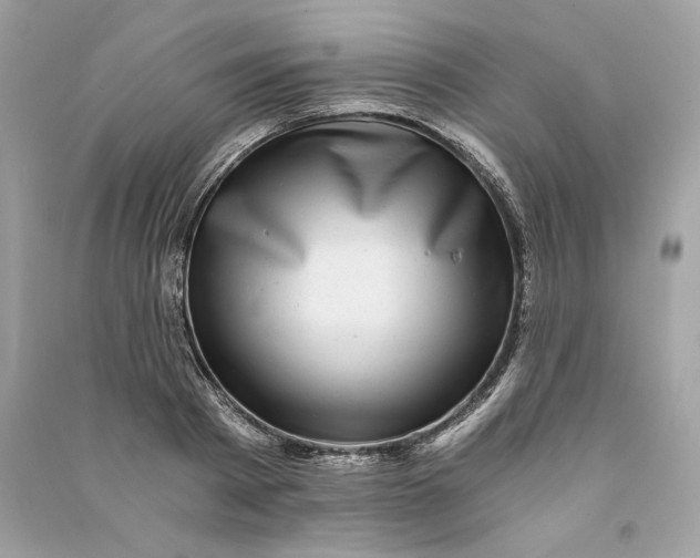 X0000090780793200708101831