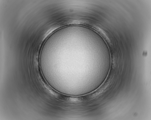 X0000090780794200708101831