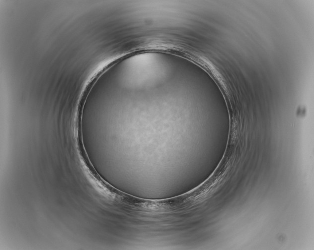 X0000090780795200708101831