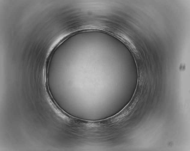 X0000090780796200708101831