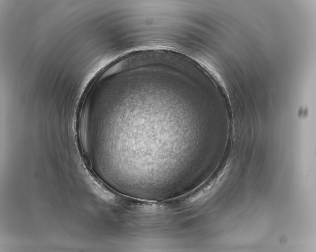 X0000090780797200708101831