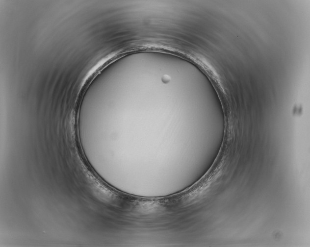 X0000090780798200708101831