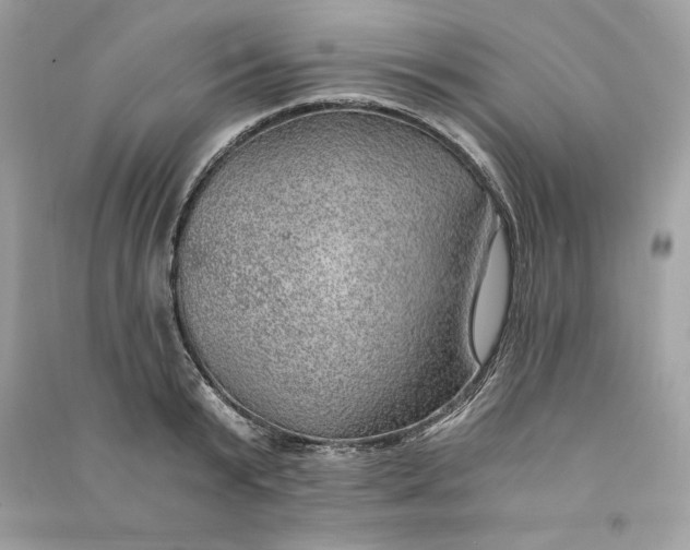 X0000090780799200708101831