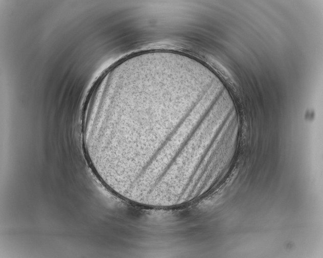 X0000090780800200708101831