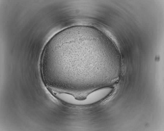 X0000090780803200708101831