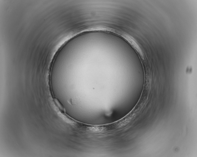 X0000090780805200708101831