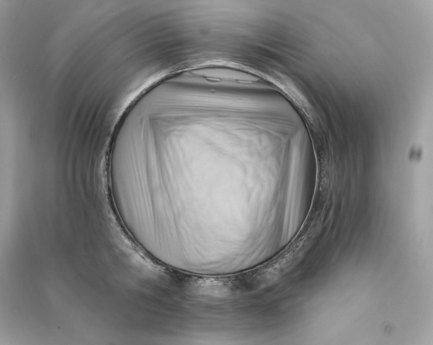 X0000090780806200708101831