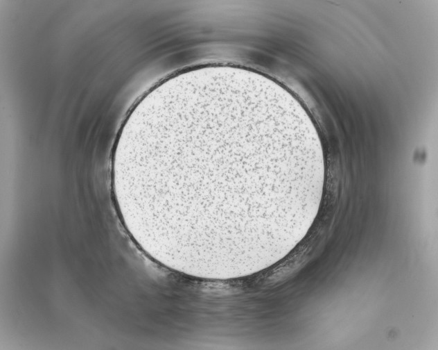 X0000090780807200708101831