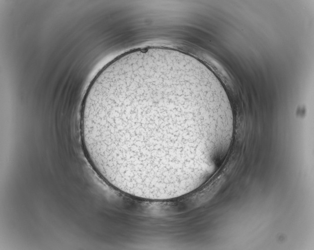 X0000090780808200708101831