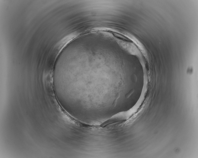 X0000090780809200708101831