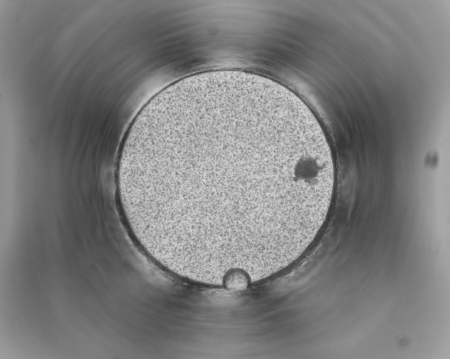 X0000090780810200708101831