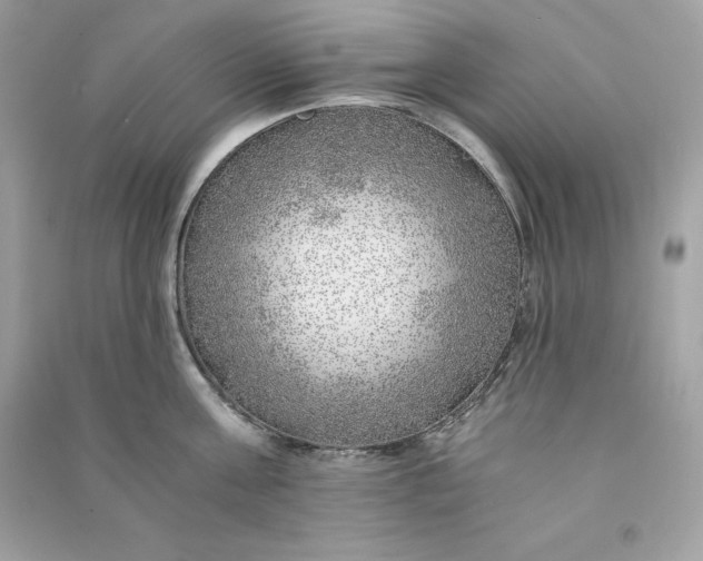 X0000090780811200708101831