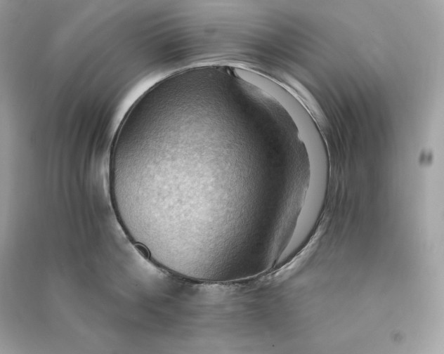 X0000090780812200708101831