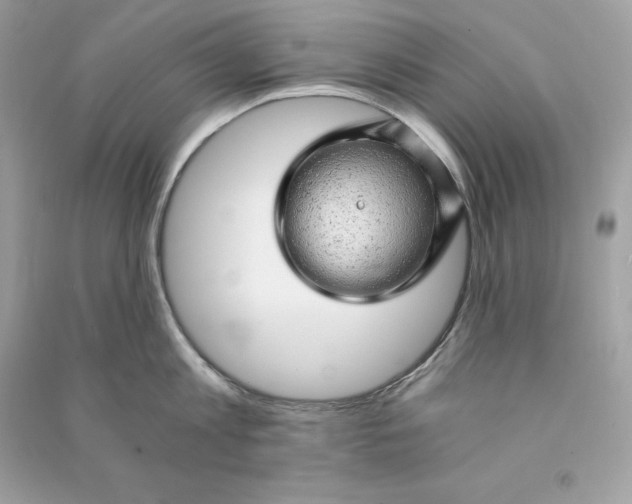 X0000090780813200708101831