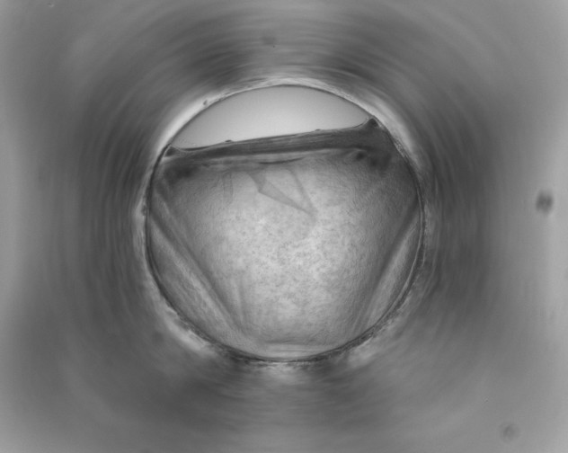 X0000090780814200708101831