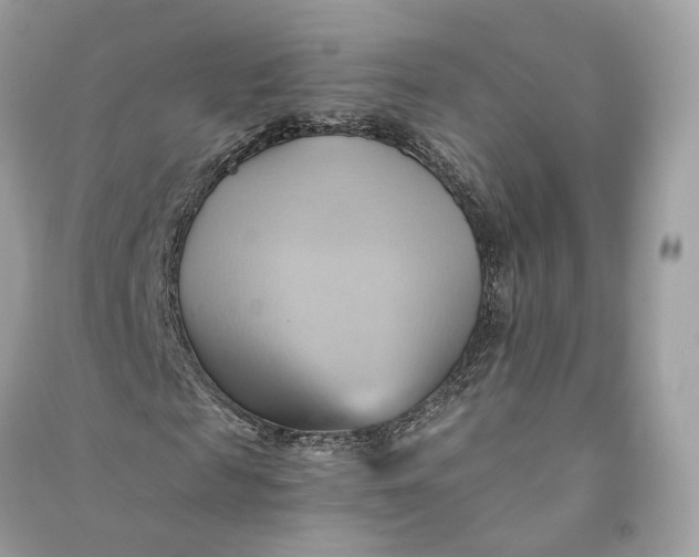 X0000090780817200708101830