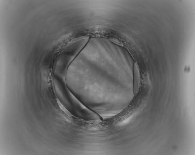 X0000090780818200708101830