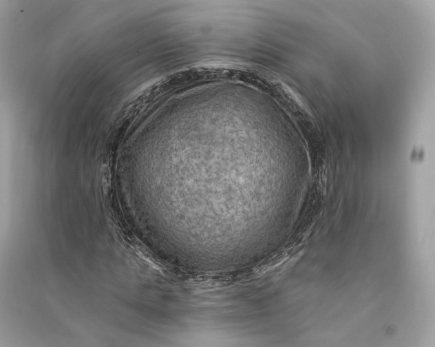 X0000090780821200708101831