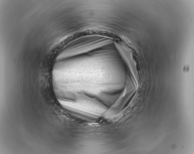 X0000090780822200708101831